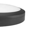 BIG WHITE (SLV) OUTDOOR BULKHEAD V 360 20W 830/840 IP65 IK10 Čidlo 1007515