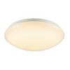 BIG WHITE (SLV) SURFACE V 390 10/15/20W 830/840 IP44 1007516