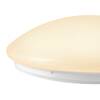 BIG WHITE (SLV) SURFACE V 390 10/15/20W 830/840 IP44 1007516