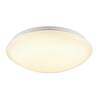 BIG WHITE (SLV) SURFACE V 390 10/15/20W 830/840 IP44 1007516