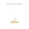 BIG WHITE (SLV) LALU závěsné svítidlo, 48 V, Led Base, mix & match, 150 cm, 8 W, 3000 K, DALI, bílá 1007748