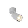 BIG WHITE (SLV) PURI 2.0 Tube nástěnné a stropní svítidlo, 1x max. 6W GU10, šedá 1008287