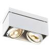 BIG WHITE KARDAMOD, stropní svítidlo, dvě žárovky, QPAR111, obdélníkové, bílé, max. 150 W 117111