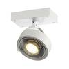 BIG WHITE KALU, nástěnné a stropní svítidlo, jedna žárovka, QPAR111, kulaté, bílé matné, max. 75 W 147301