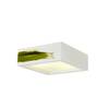 BIG WHITE PLASTRA 104, stropní svítidlo, TC-DSE, hranaté, bílá sádra, max. 50 W 148002
