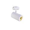 BIG WHITE ENOLA_B, nástěnné a stropní svítidlo, bodové svítidlo, jedna žárovka, QPAR51, bílé, max. 50 W 152011