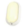 BIG WHITE TERANG 2, venkovní nástěnné a stropní svítidlo, LED, 3000K, IP44, oválné, bílé, max. 11 W 229931