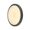 BIG WHITE AINOS, stropní svítidlo, LED, 3000K, kulaté, antracit 229965