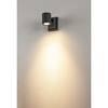BIG WHITE MYRA WALL, venkovní nástěnné a stropní svítidlo, jedna žárovka, QPAR51, IP55, antracit, max. 50 W 233105