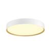 BIG WHITE (SLV) DECONA 42 CL, PHASE, stropní světlo pro povrchovou montáž, kulaté, 3000/4000 K, 23 W, bílá / zlatá 1008923