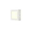 BIG WHITE SENSER 12 CW vnitřní LED nástěnné a stropní přisazené svítidlo hranaté bílé, 4000 K 1004703