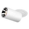 BIG WHITE (SLV) NUMINOS PROJECTOR M stropní zápustné svítidlo, 2700 K, 55d, válcové, bílé/chrom 1006992