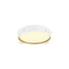 BIG WHITE (SLV) DECONA 30 CL, PHASE, povrchové stropní svítidlo, kulaté, 3000/4000K, 17 W, bílé/zlaté 1008919