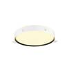 BIG WHITE (SLV) DECONA 42 CL, PHASE, povrchové stropní svítidlo, kulaté, 3000/4000 K, 23 W, černá barva 1008922