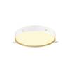 BIG WHITE (SLV) DECONA 42 CL, PHASE, stropní světlo pro povrchovou montáž, kulaté, 3000/4000 K, 23 W, bílá / zlatá 1008923