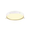 BIG WHITE (SLV) DECONA 42 CL, PHASE, povrchové stropní svítidlo, kulaté, 3000/4000K, 23 W, černá / zlatá 1008924