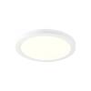 BIG WHITE (SLV) DOWNLIGHT VARIO 290 28 830/840 WH ML 1010398