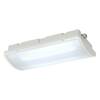 BIG WHITE P-LIGHT, stropní svítidlo, LED, 6000K, IP65, obdélníkové, bílé, 6,5 W 240004