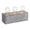LEUCHTEN DIREKT is JUST LIGHT Stolní lampa v industriálním stylu v železném provedení 3-ramenné s paticemi E27 LD 11498-77