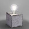LEUCHTEN DIREKT is JUST LIGHT Stolní lampa v industriálním stylu v železném provedení s paticí E27 LD 11499-77