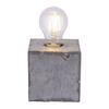LEUCHTEN DIREKT is JUST LIGHT Stolní lampa v industriálním stylu v železném provedení s paticí E27 LD 11499-77