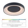 LEUCHTEN DIREKT is JUST LIGHT LED stropní svítidlo, antracit, stmívatelné, App, dálkový ovladač MEDION RGB+2700-5000K
