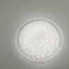LEUCHTEN DIREKT is JUST LIGHT LED stropní svítidlo, kruhové, transparentní 2700-5000K LD 14372-00