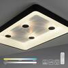 LEUCHTEN DIREKT is JUST LIGHT LED stropní svítidlo černá hranaté křišťálový efekt stmívatelné CCT 2700-5000K LD 14385-18