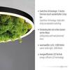 LEUCHTEN DIREKT is JUST LIGHT LED stropní svítidlo 40x40 Island Moos Switchmo 3 krokové stmívání krokově stmívatelné 3000K LD 15391-66