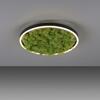 LEUCHTEN DIREKT is JUST LIGHT LED stropní svítidlo 40x40 Island Moos Switchmo 3 krokové stmívání krokově stmívatelné 3000K LD 15391-66