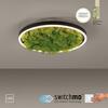 LEUCHTEN DIREKT is JUST LIGHT LED stropní svítidlo 40x40 Island Moos Switchmo 3 krokové stmívání krokově stmívatelné 3000K LD 15391-66