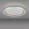 LEUCHTEN DIREKT is JUST LIGHT LED stropní svítidlo, matná mosaz, kruhové pr.60cm, stmívatelné, Switchmo, teplá bílá krokově stmívatelné 3000K