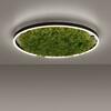 LEUCHTEN DIREKT is JUST LIGHT LED stropní svítidlo 60x60 Island Moos Switchmo 3 krokové stmívání krokově stmívatelné 3000K LD 15392-66