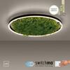LEUCHTEN DIREKT is JUST LIGHT LED stropní svítidlo 60x60 Island Moos Switchmo 3 krokové stmívání krokově stmívatelné 3000K LD 15392-66