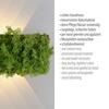 LEUCHTEN DIREKT is JUST LIGHT LED nástěnné svítidlo islandský mech hra světla teplé bílé světlo do interiéru 3000K LD 15637-66