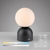 JUST LIGHT Kolekce Schöner Wohnen LED bateriové stolní svítidlo RUDI, černé, přes USB 3000-6000K