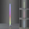 VÝPRODEJ VZORKU LEUCHTEN DIREKT is JUST LIGHT LED stojací svítidlo, stříbrná barva, ideální párty osvětlení, RGB, stmívatelné, dálkový ovladač RGB
