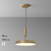 MAYTONI Stropní svítidlo Zon 45W 120d C032CL-45W3K-RD-MG