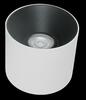 MAYTONI Stropní svítidlo Alfa LED C064CL-01-15W3K-RD-WB