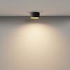 MAYTONI Stropní svítidlo Vega 12W 110d C089CL-12W3K-BMG