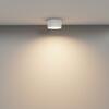 MAYTONI Stropní svítidlo Vega 12W 110d C089CL-12W3K-W