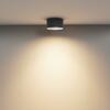 MAYTONI Stropní svítidlo Vega 15W 110d C089CL-15W3K-B
