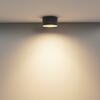 MAYTONI Stropní svítidlo Vega 15W 110d C089CL-15W3K-BMG