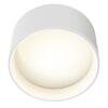 MAYTONI Stropní svítidlo Vega 15W 110d C089CL-15W3K-W