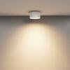 MAYTONI Stropní svítidlo Vega 15W 110d C089CL-15W3K-W