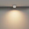 MAYTONI Stropní svítidlo Vega 8W 110d C089CL-8W3K-W