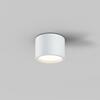 MAYTONI Stropní svítidlo Hydra 10W 120d C090CL-10W3K-W
