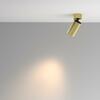 MAYTONI Stropní svítidlo Calipso GU10x1 10W C108CL-01-GU10-BS