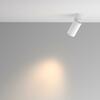 MAYTONI Stropní svítidlo Calipso GU10x1 10W C108CL-01-GU10-W