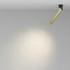 MAYTONI Stropní svítidlo Focus T 6W 36d C141CL-L300-6W3K-BBS